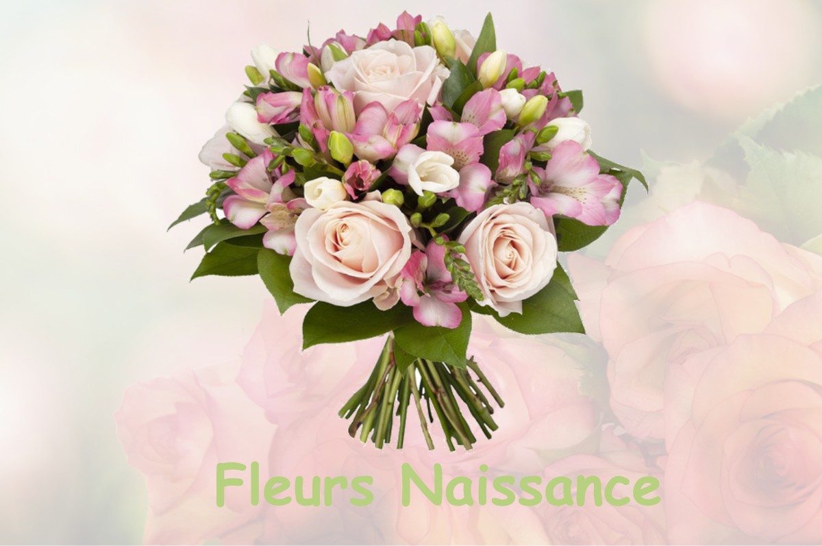 fleurs naissance SCORBE-CLAIRVAUX